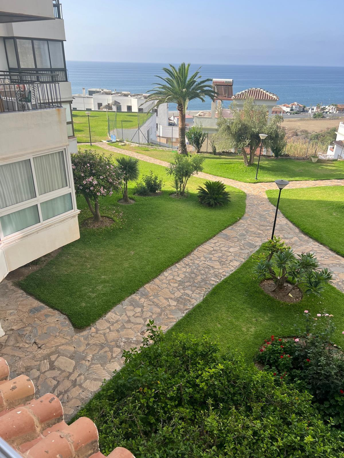 Torrox 2