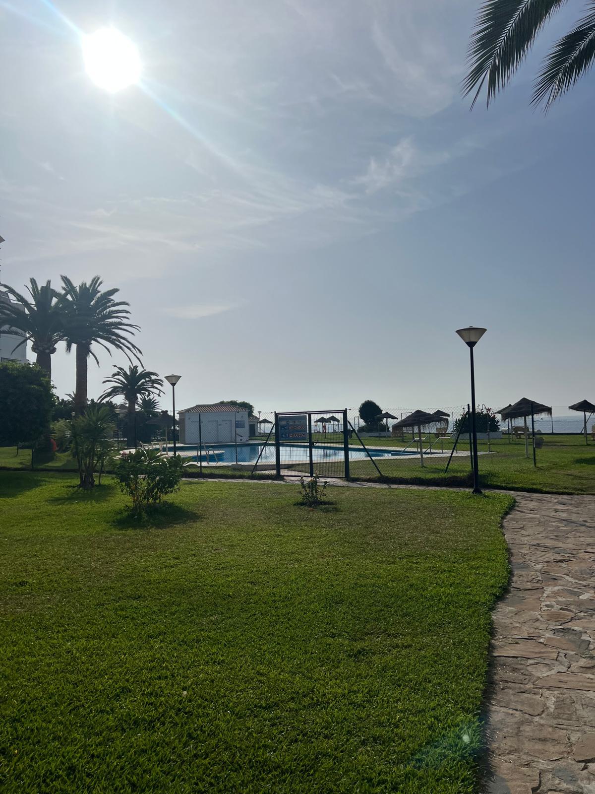 Torrox 3